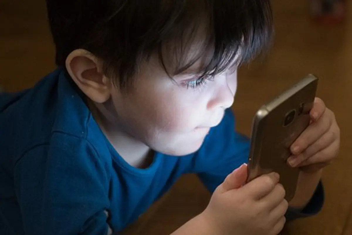 copyright pixabay.com/Andi_Graf