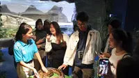 Bersama Followers dan Influencer, Alam Ganjar Gali Edukasi Satwa di Jakarta Aquarium