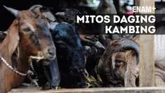 Daging kambing menjadi berbahaya karena biasa dimasak menggunakan santan dan minyak.