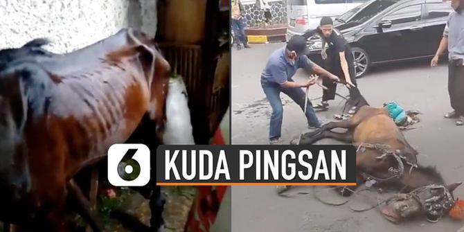 VIDEO: Kuda Pingsan di Jalan Viral, Pemilik Didatangi Aktivis