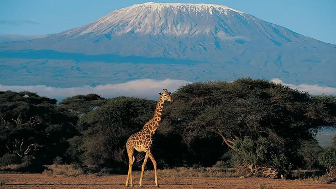 Menjelajahi Tanzania