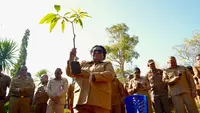 Wamendagri Ajak Warga NTT Masifkan Penanaman Pohon