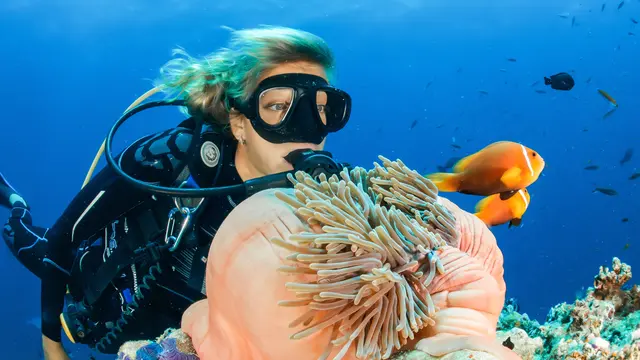 kepribadian dari liburan impian