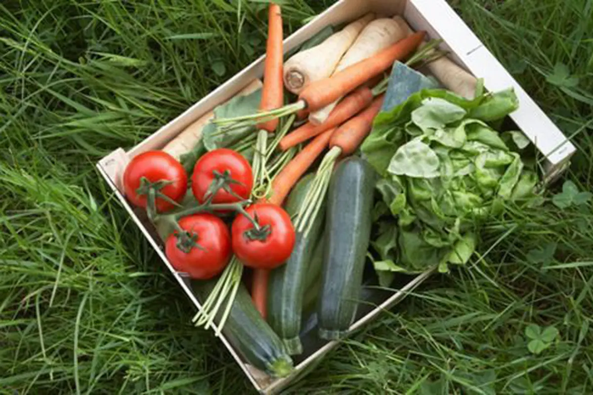 Makanan untuk kanker payudara/copyright Shutterstock.com