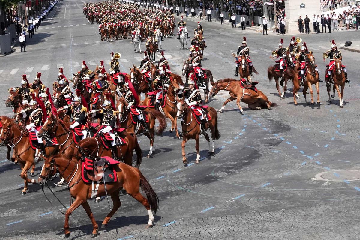 Kuda terjatuh di Bastille Day
