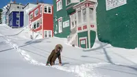 Warga berjalan melewati salju di Kota St John's, Newfoundland, Kanada, Sabtu (18/1/2020). (Andrew Vaughan/The Canadian Press via AP)