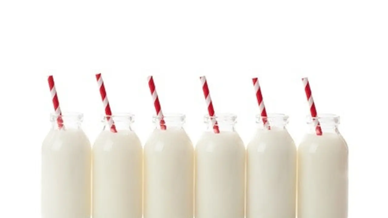 Minum Susu