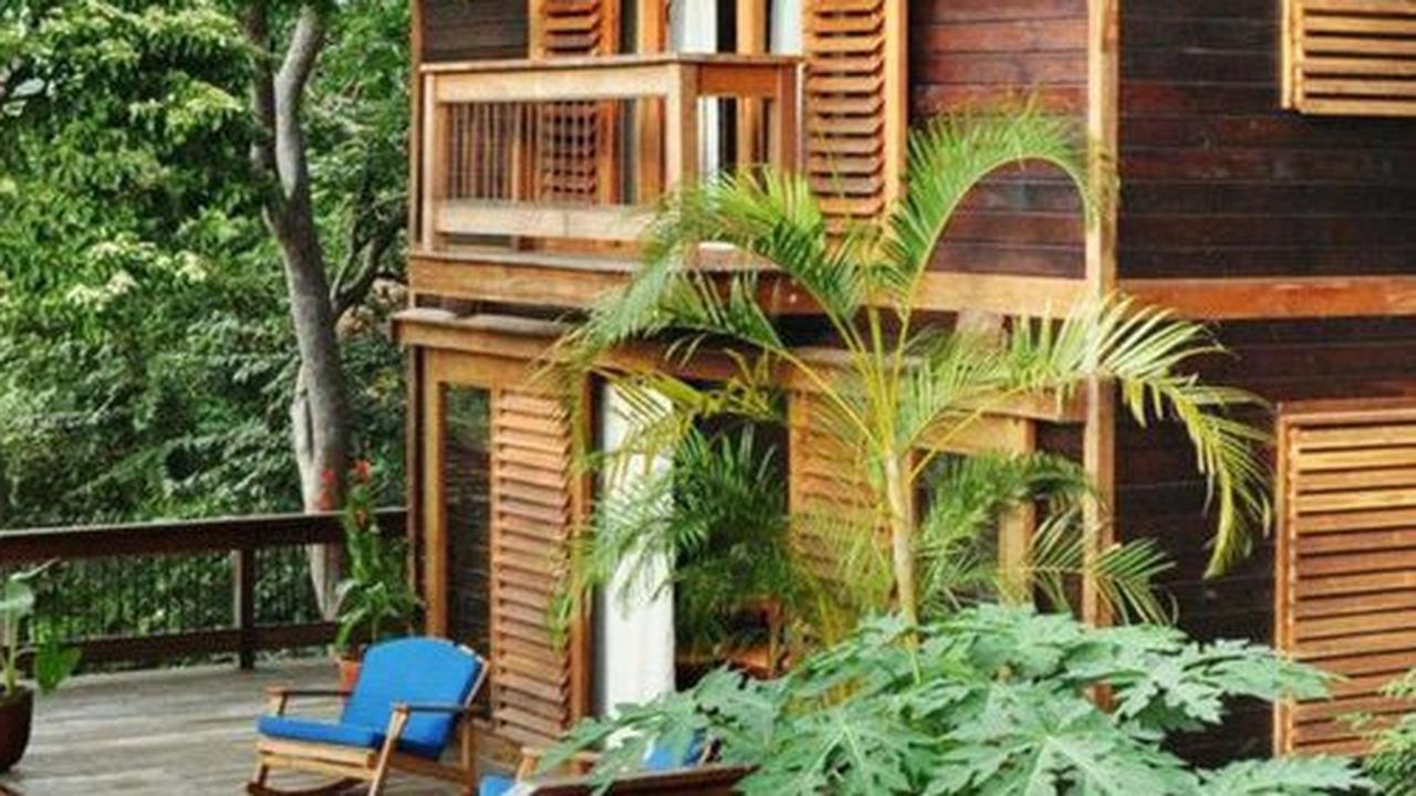 Rumah Kayu Minimalis Modern,Perpaduan Keindahan Alami dan Desain Kontemporer