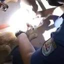 Cerita Petugas Damkar Lepaskan Kepala Kucing Nyangkut Kaleng Makanan