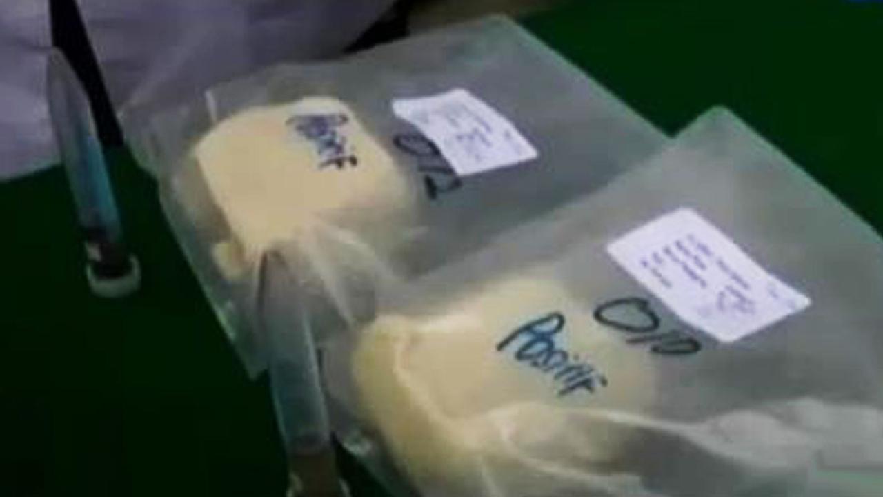 VIDEO: Diduga Berformalin, Polisi Gerebek Pabrik Tahu di Cipinang