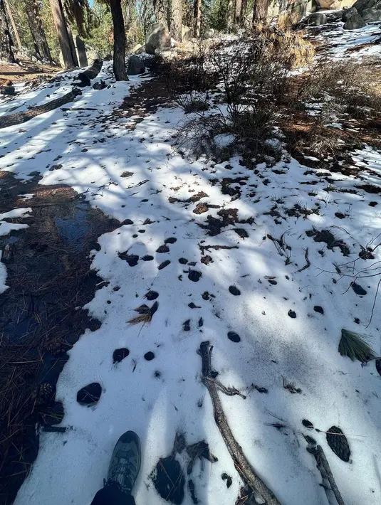 <p>Agnez Mo (Instagram/agnezmo)</p>