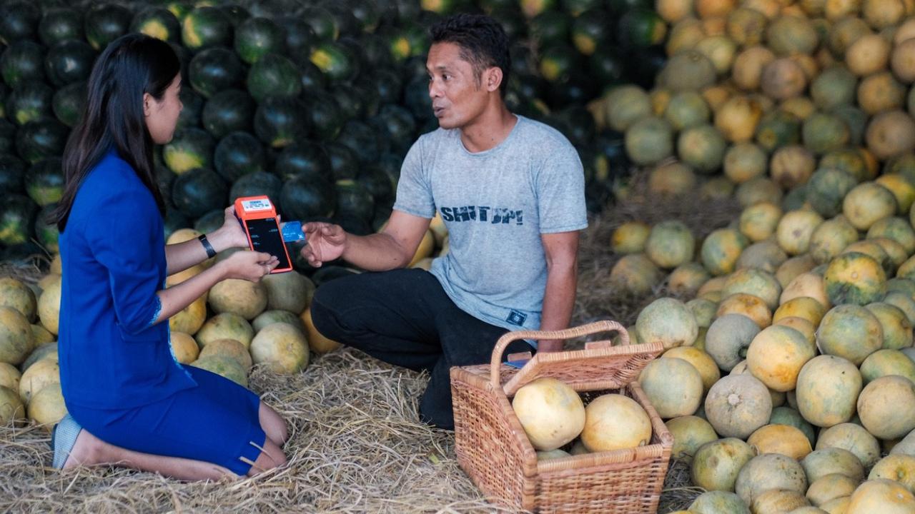 Sektor Produksi Dominasi Penyaluran KUR BRI, Pertanian Sumbang Rp50,95 Triliun