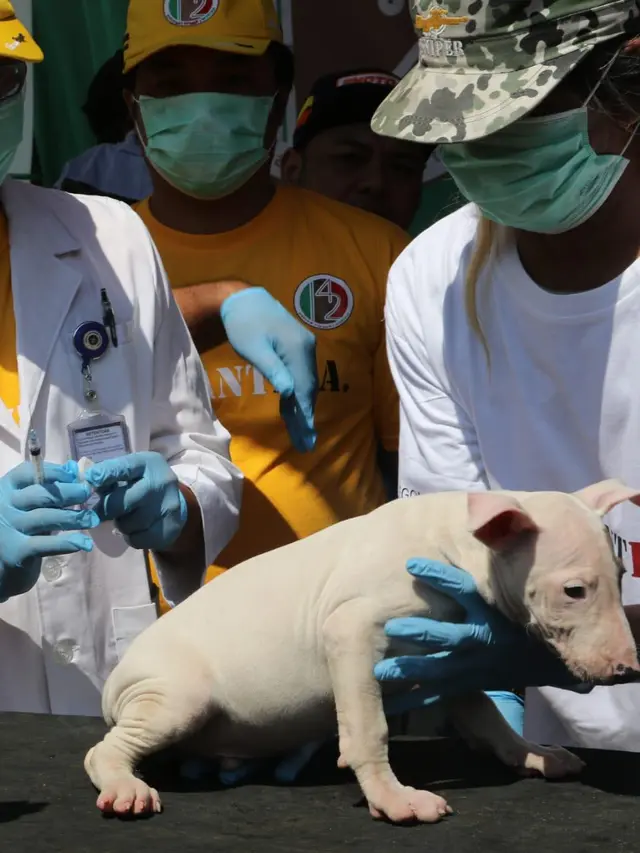 Bangun Kesadaran Bahaya Rabies, Kementan Bagikan Vaksin Gratis