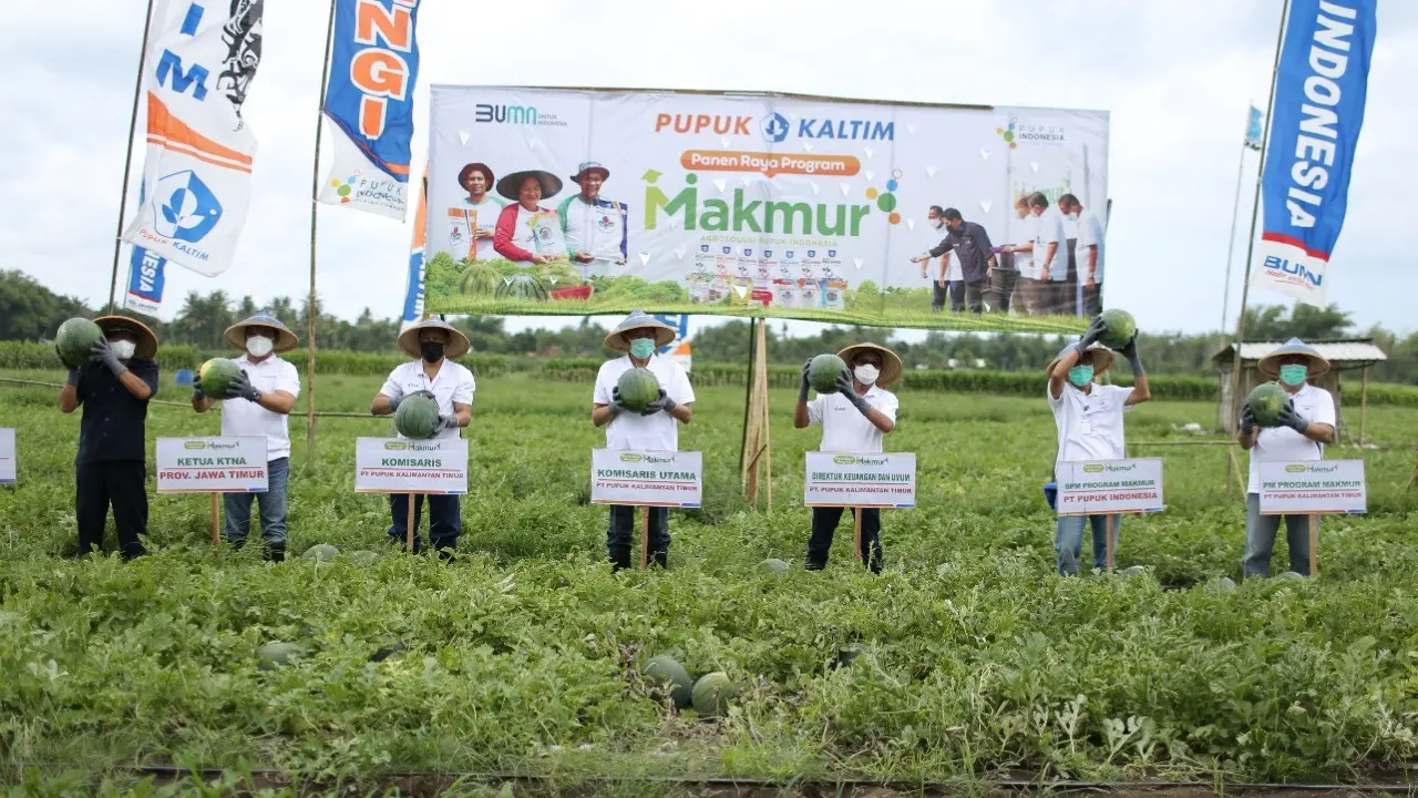 Program Makmur PT Pupuk Kalimantan Timur (Pupuk Kaltim) di Jember, Jawa Timur