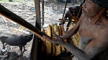 Pekerja mengolah bahan dari pohon sagu di sebuah desa di Labuhan Haji, provinsi Aceh selatan (26/10/2021). Pohon Sagu, atau Rumbia, banyak tumbuh di berbagai wilayah di Indonesia. (AFP/Chaideer Mahyuddin)