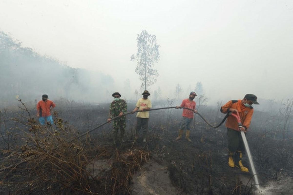 Aksi tim gabungan terobos asap tebal padamkan kebakaran hutan Riau
