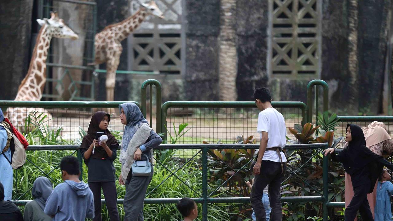 Libur Maulid Nabi, 18.000 Pengunjung Serbu Taman Margasatwa Ragunan