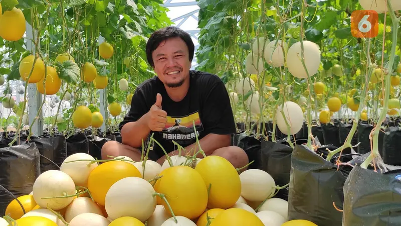 Rudy Aman, petani konvensional yang berhasil kembangkan sistem pertanian Hidroponik terbesar di Gorontalo (Arfandi Ibrahim/Liputan6.com)