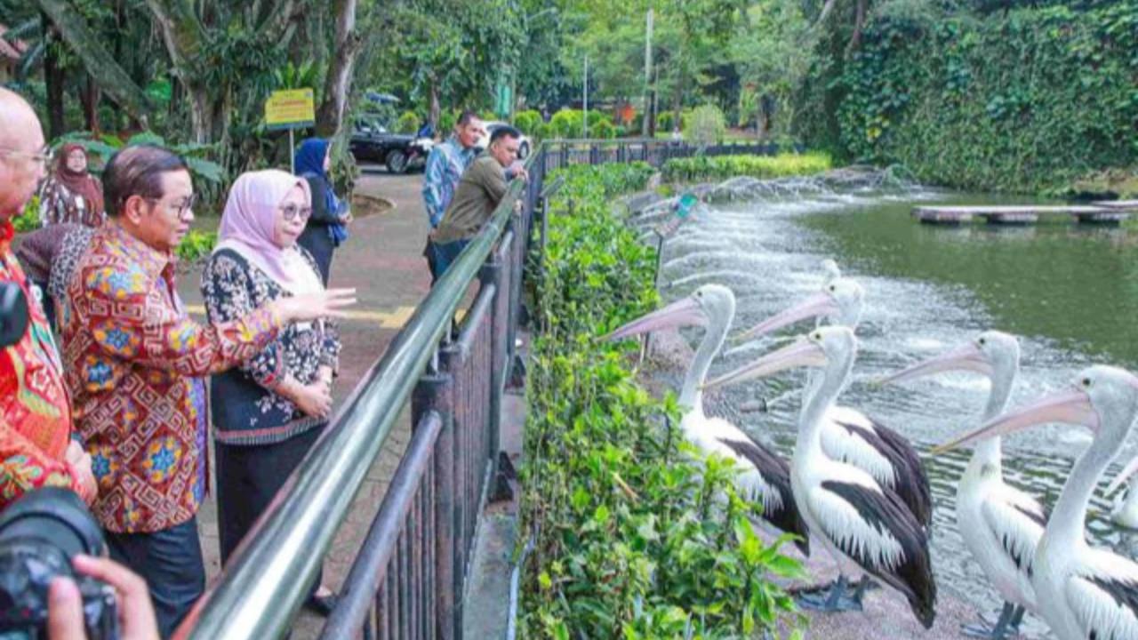 Pengunjung Kebun Bintatang Ragunan Diprediksi Tembus 100.000 di Hari Pertama 2026