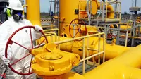 Anak Usaha PGN Temukan Cadangan Gas di Kaltim