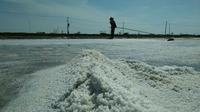Harga jual garam ditingkat petambak Cirebon semakin merosot ditengah melimpahnya hasil produksi yang tak kunjung terjual. Foto (Liputan6.com / Panji Prayitno)