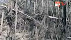 liputan6