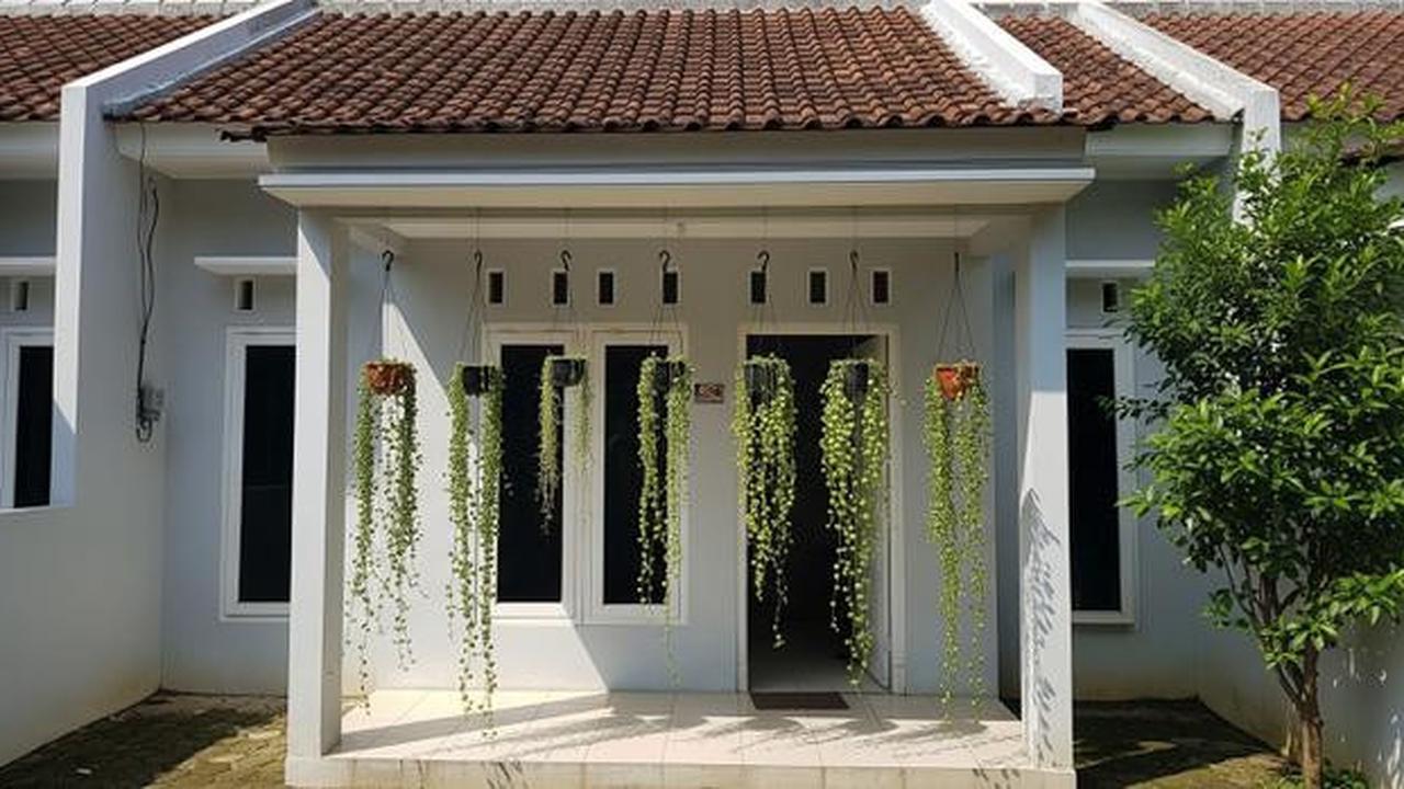 15 Tanaman Gantung untuk Teras Sempit yang Awet Meski Jarang Disiram, Percantik Halaman Rumah