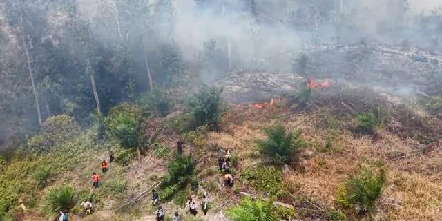 Waspada Karhutla Akibat El Nino di Sejumlah Daerah Indonesia, Ini Mitigasi yang Bisa Dilakukan