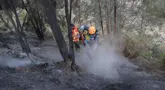Relawan memadamkan api di Taman Nasional Bromo Tengger Semeru dekat Gunung Bromo di Pasuruan, Jawa Timur, Senin, 10 Agustus 2026. (AP/ Trisnadi)