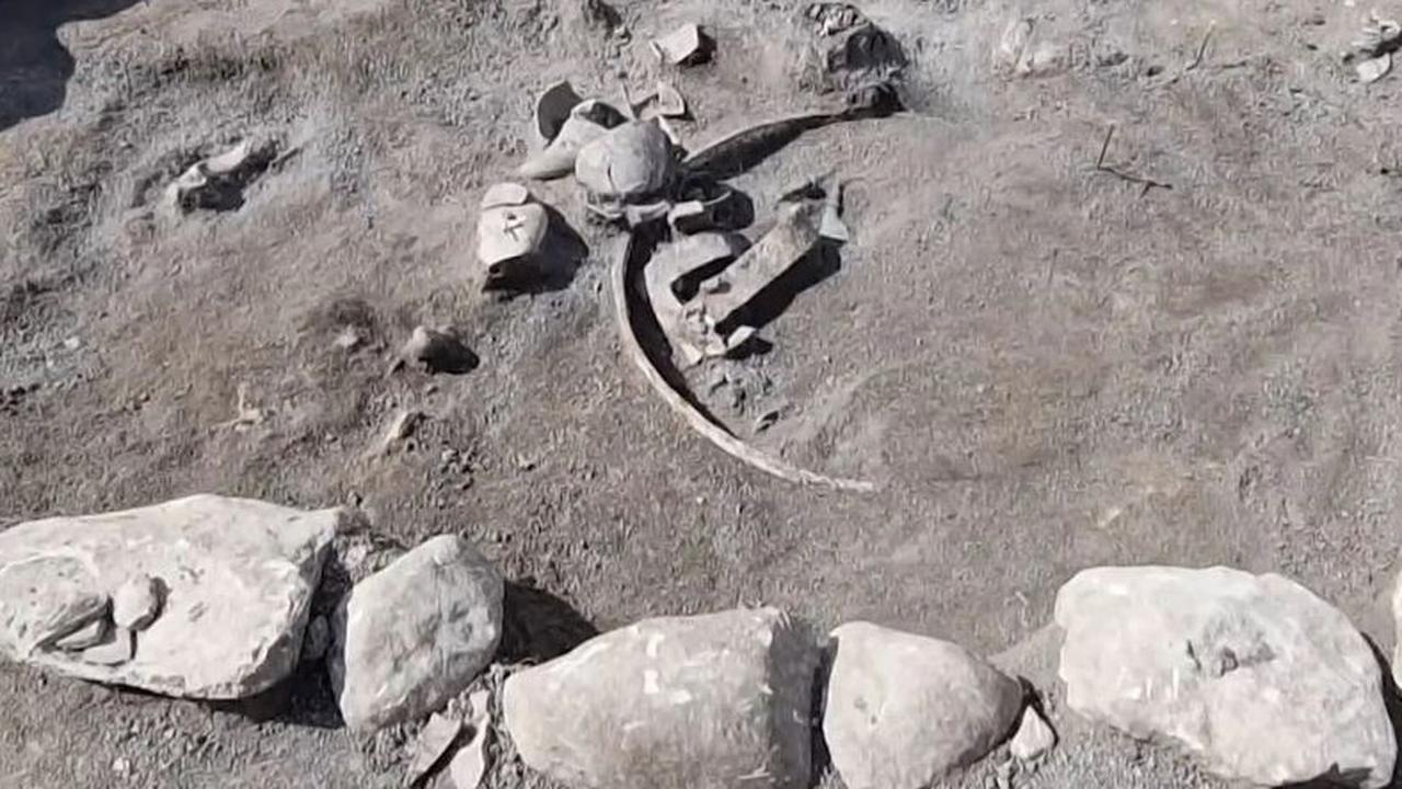 Arkeolog Temukan Kereta Romawi di Makam Kuno dari Abad Kedua Masehi, Dikubur Bersama Seekor Kuda