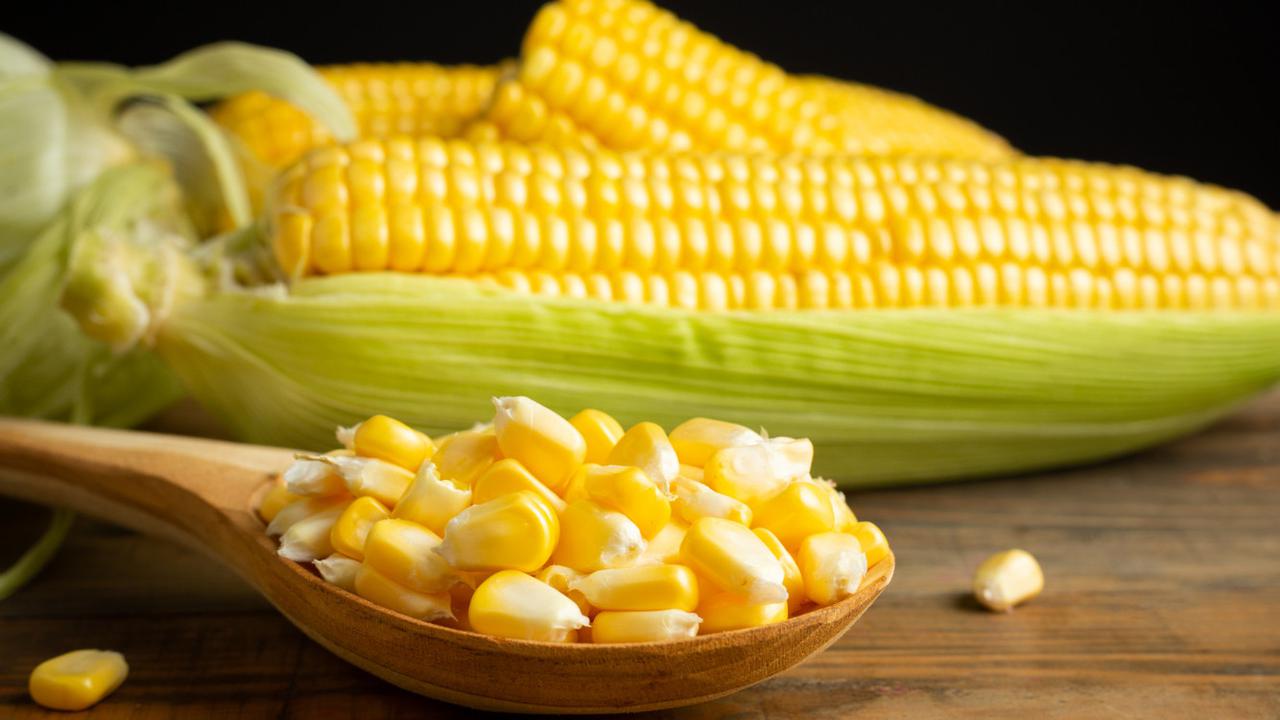 Trik Rebus Jagung yang Bisa Bikin Rasanya Lebih Manis dan Hemat Gas