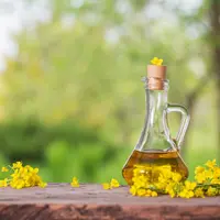 Ilustrasi/Copyright shutterstock/Maya Kruchankova