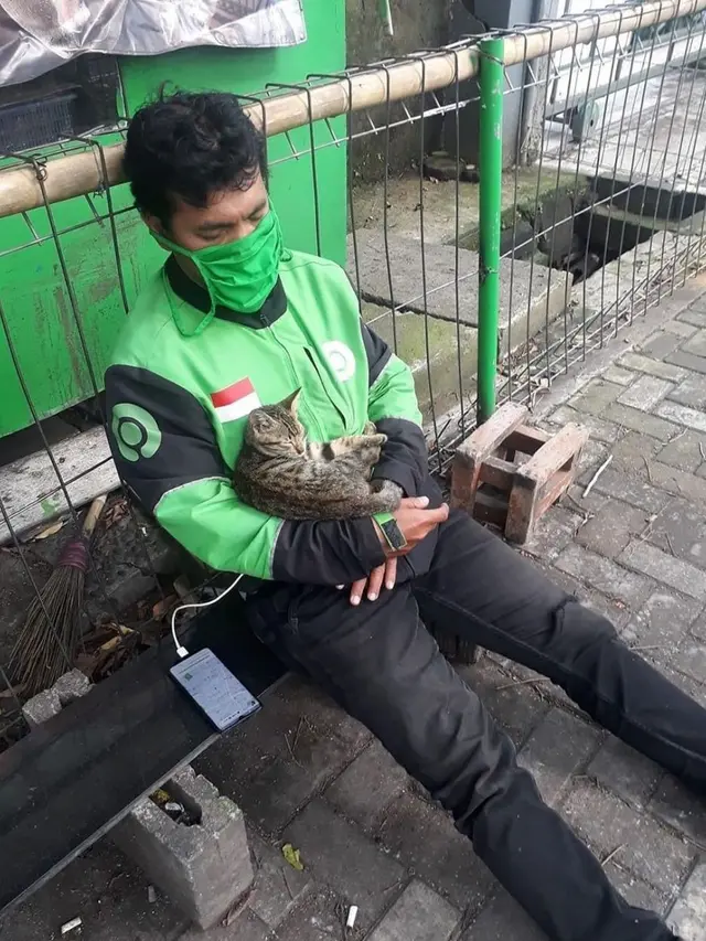 Aksi Ojol Selamatkan Kucing