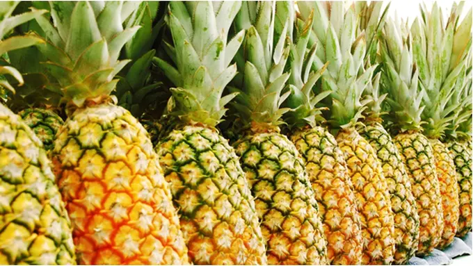 Courtesy ShutterStock.com