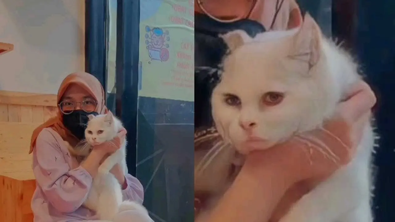 Bukannya HD, 6 Hasil Foto Diedit Pakai Aplikasi Remini Ini Malah Bikin Ngakak