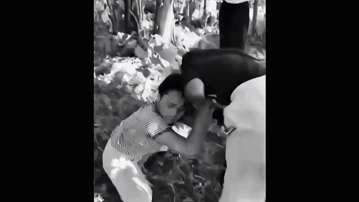 Viral Siswi SD Dikeroyok 6 Pelajar Perempuan