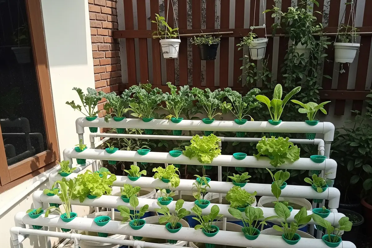 9 Desain Kebun Sayur Hidroponik Ember Sederhana Modal Kecil, Solusi Lahan Terbatas