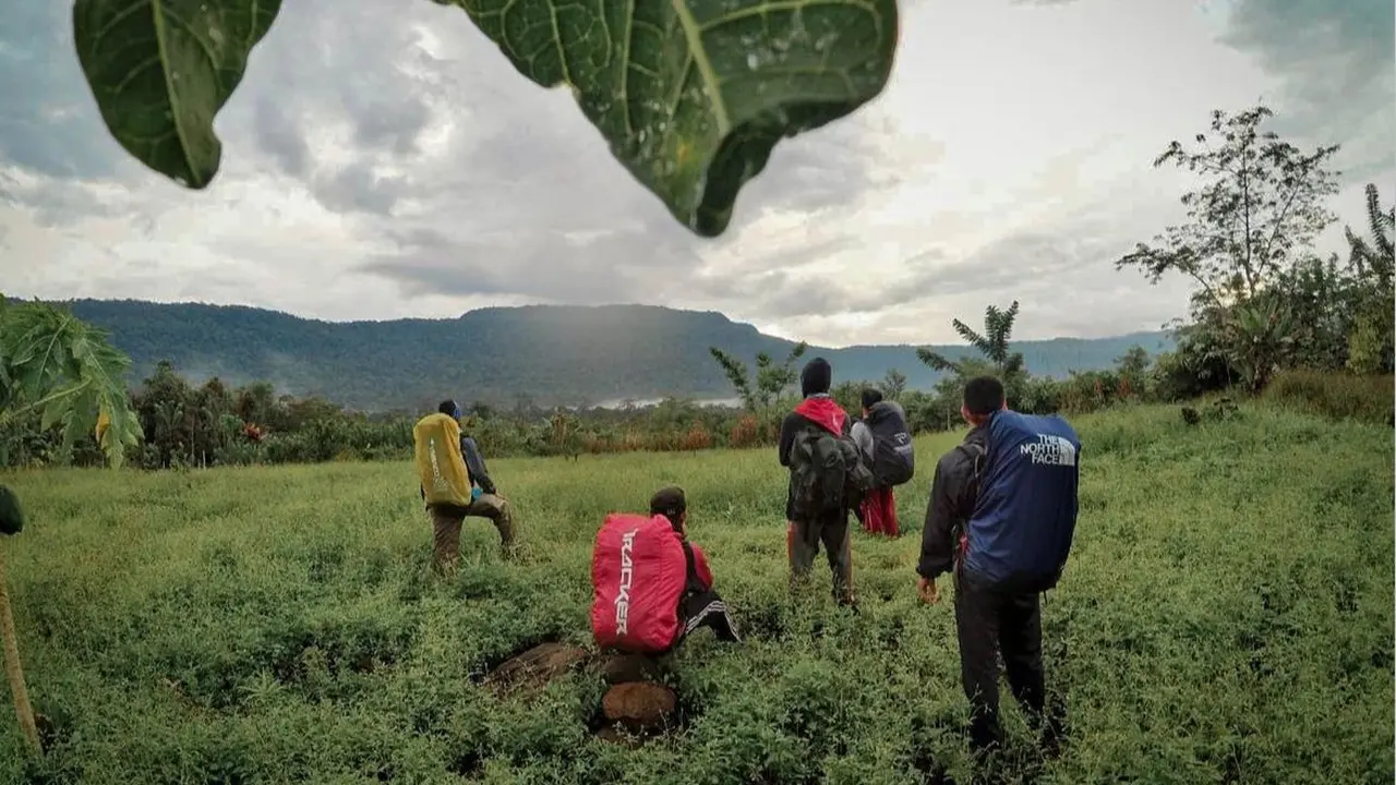 Gunung Niut di Kalimantan