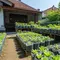 7 Inspirasi Pekarangan Produktif Menggunakan Galon Bekas, Solusi Berkebun Hemat