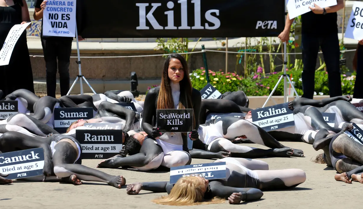 Aktivis PETA menunjukan poster saat aksi protes terhadap perburuan Paus Pembunuh di Sea World, San Diego, California, Kamis (1/9). Dalam aksinya mereka nekat bertelanjang dada dan mengecat tubuhnya menyerupai Paus Pembunuh atau Orca. (REUTERS/Mike Blake)