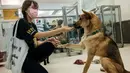 Asisten manajer Tai Po Homing Center Eva Sit bermain dengan "Sidney" di pusat penampungan Hong Kong Dog Rescue (HKDR) di Hong Kong, 14 April 2020. Sejak pandemi Covid-19, kelompok kesejahteraan hewan HKDR berusaha berjuang lantaran semua acara penggalangan dana dibatalkan. (Anthony WALLACE/AFP)