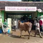 Pasar hewan Tuban. (Adirin/Liputan6.com)