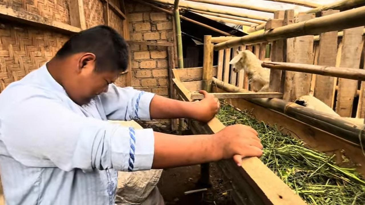 Potret Bocah SMP yang Nasihati Dedi Mulyadi, Kini Bahagia Miliki Domba dan Rajin Ngarit