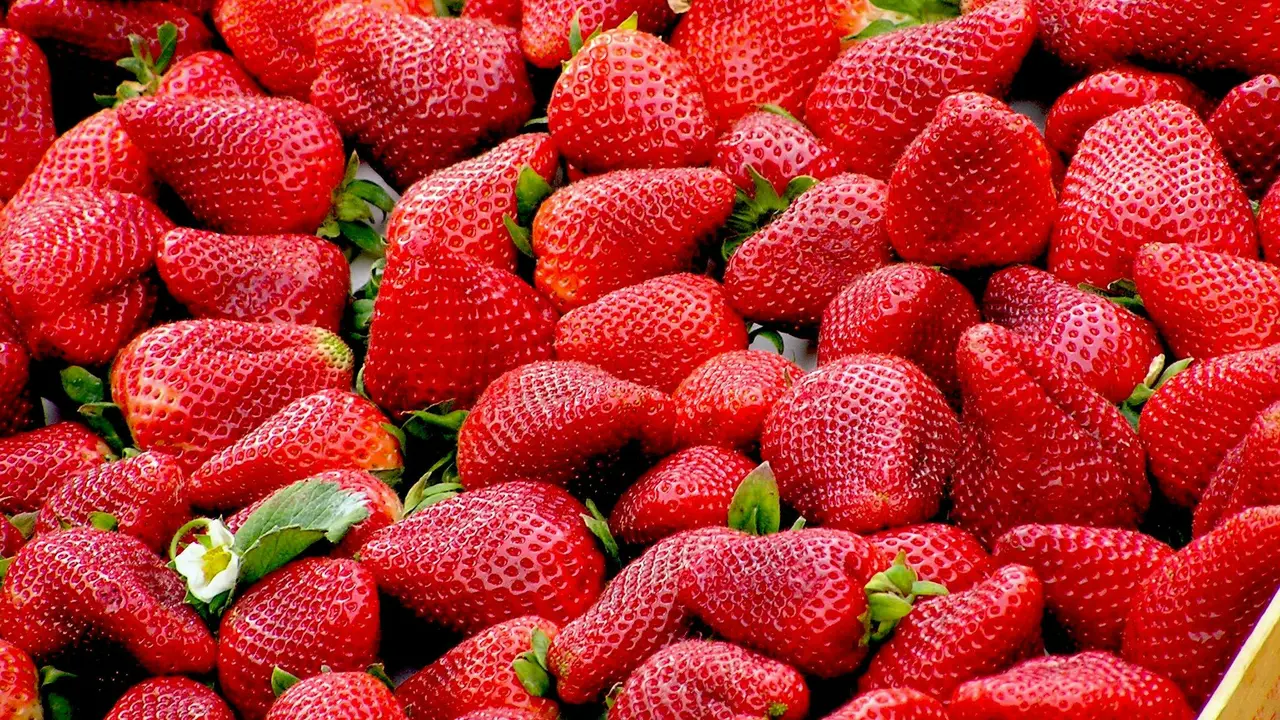 Strawberry