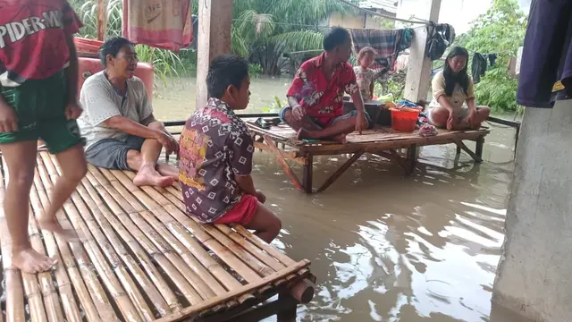 Organisasi Lingkungan Soroti IPPKH dan Kerusakan Parah Hutan di Sumsel