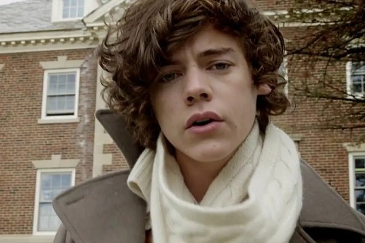 Harry Styles Lebih Suka Menyendiri Ketimbang Bersama One Direction