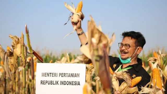 Kunker ke Kendal, Mentan SYL Panen Jagung dan Serahkan Bantuan Senilai Rp 8,72 Miliar 