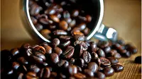 Meski dikenal dengan kopi Robustanya, namun ternyata jenis kopi Arabica dari Indonesia lebih banyak menarik para penggemar kopi asal Eropa.