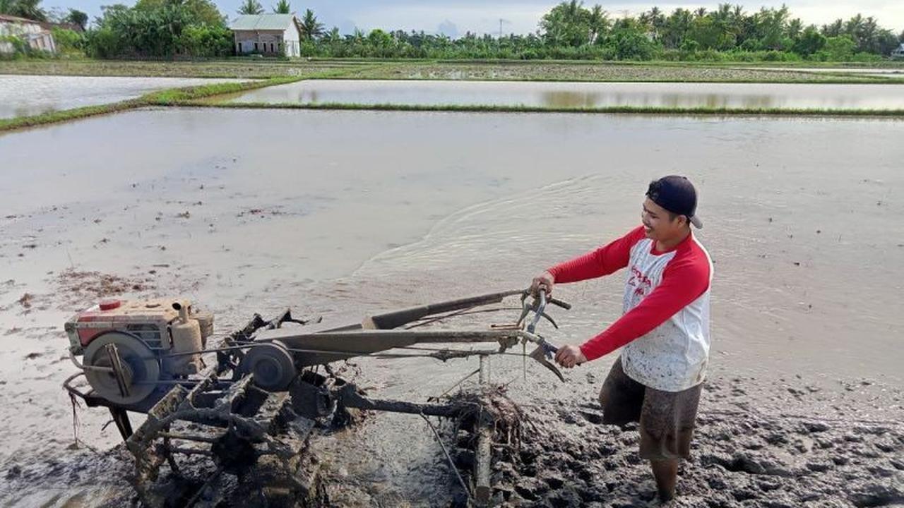 Terungkap! Indonesia Surplus Beras 4 Juta Ton, Percepatan Swasembada Pangan Jadi Kunci Kesejahteraan Petani