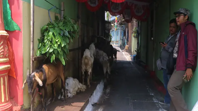 Pasar Kambing Semarang, Pudarnya Sebuah Kejayaan